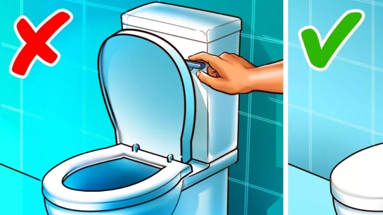 6 Coisas que todo mundo faz no banheiro mas não deveria