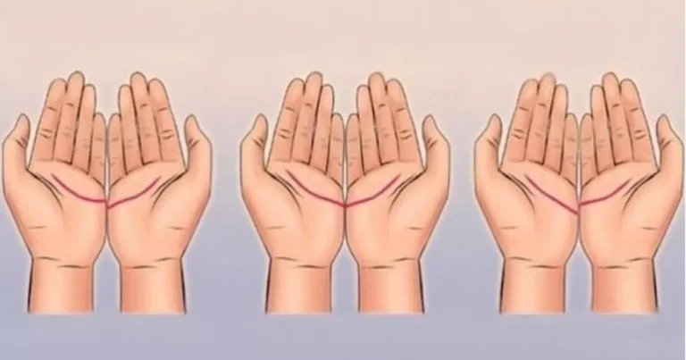 Você sabe o significado das linhas na palma da sua mão?