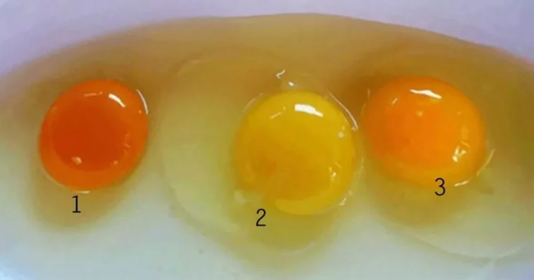 Você sabe qual destes três ovos é o mais saudável? Confira a resposta correta e saiba o porque