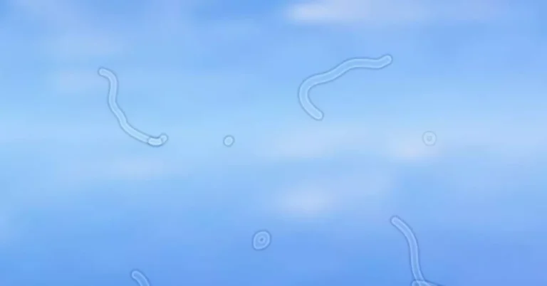 Você sabe o que são aquelas formas estranhas que aparecem na nossa visão?