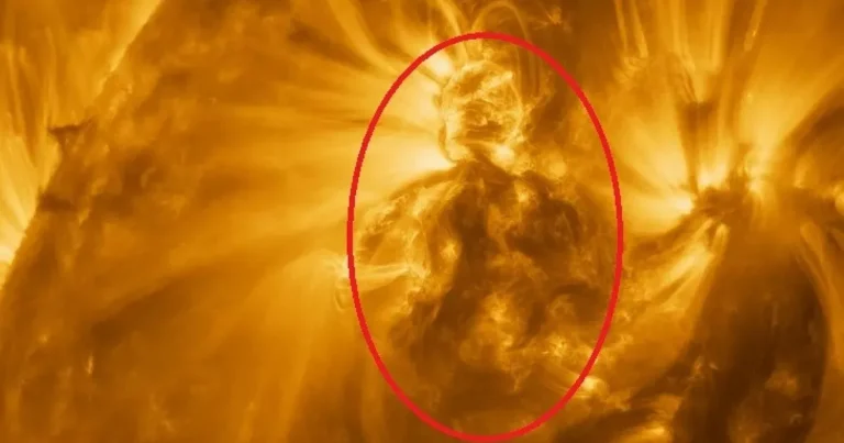Foto do Sol em alta resolução mostra figura humana; cientistas explicam que isso interfere na vida na Terra