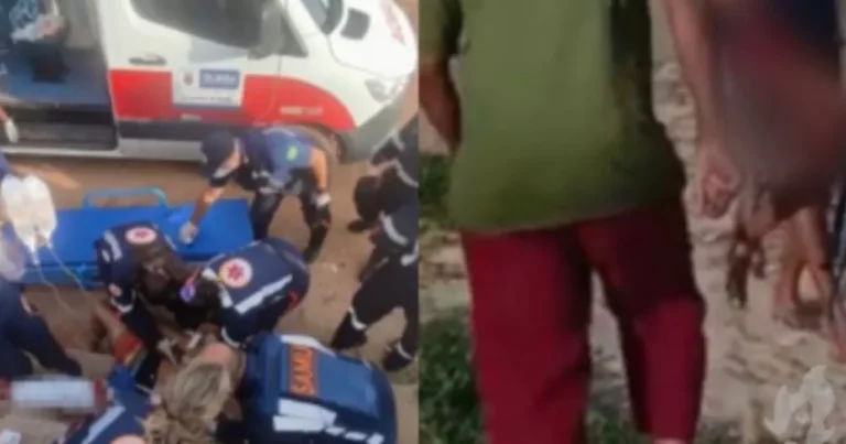 Vídeos mostram momento em que surfista que foi atacado por tubarão é socorrido em Olinda (PE)