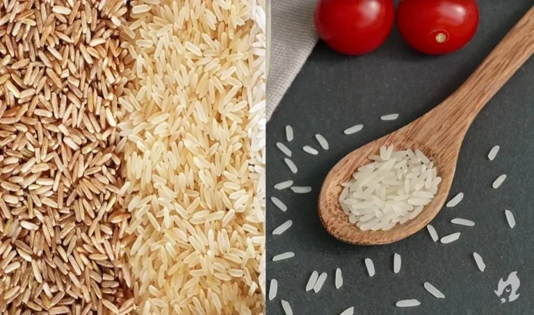 6 benefícios e curiosidades do arroz