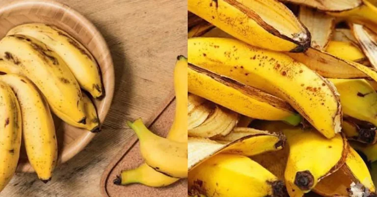 É por isso que você nunca mais jogará as cascas de banana fora