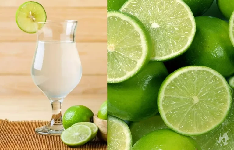 Água com limão: Tome nota das vantagens do consumo para a saúde