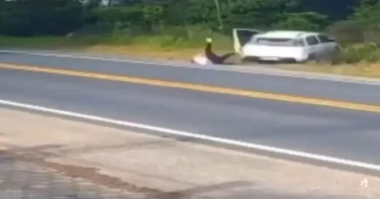 Vídeo mostra momento em que passageiro salta do carro em movimento antes de cair em ribanceira