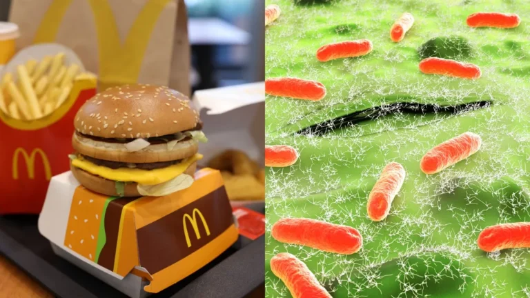 O que é E. coli, bactéria que provocou surto no McDonald’s