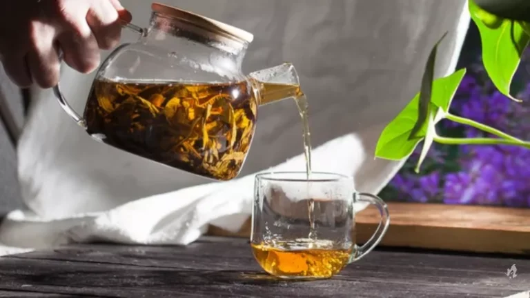 Nutricionista ensina receita para desinchar e eliminar até cinco quilos em uma semana