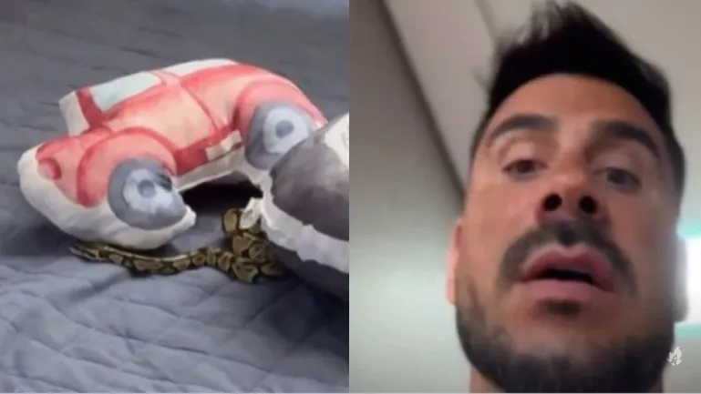 Julio Rocha vive angustia ao flagrar cobra na cama dos filhos e corre para evitar que o pior aconteça