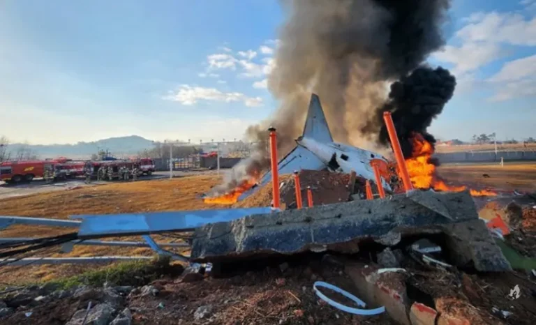 Relatório confirma que avião que explodiu na Coreia do Sul colidiu com pássaros no ar