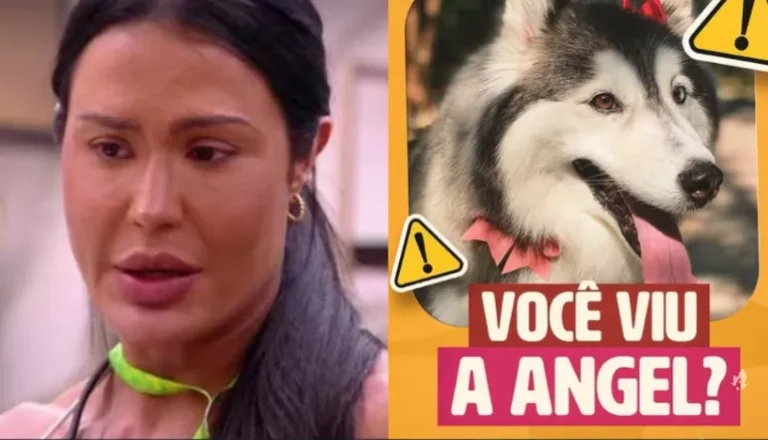 Desaparecimento de cadela de Gracyanne Barbosa mobiliza buscas