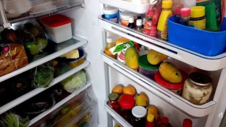 Você sabia? Estes alimentos JAMAIS devem ser guardados na geladeira