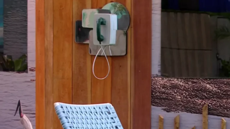Daniele Hypólito e o Big Fone: O que Esperar do BBB25?