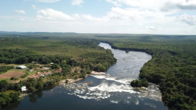 Amazônia: alerta de desmatamento cresce e mobiliza governo