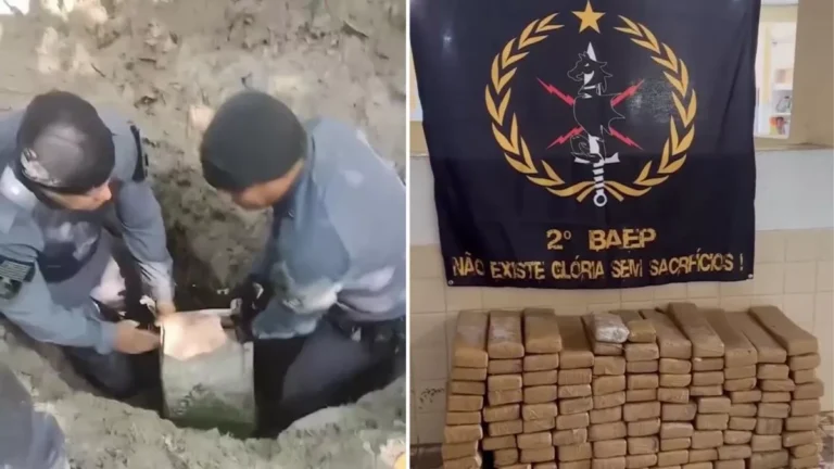 Polícia encontra mais de 100 kg de maconha enterrada em São Vicente (SP)