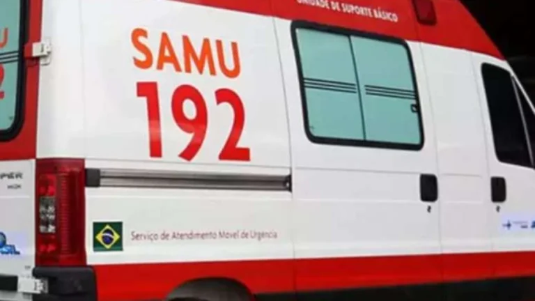 Menino de 12 anos morre atropelado por ônibus após cair de bicicleta em Passo Fundo