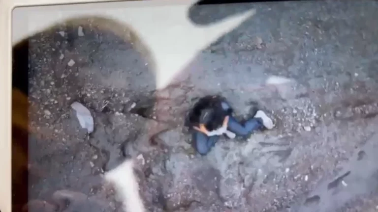 Brasileira que morreu em vulcão na Indonésia: entenda detalhes do acidente