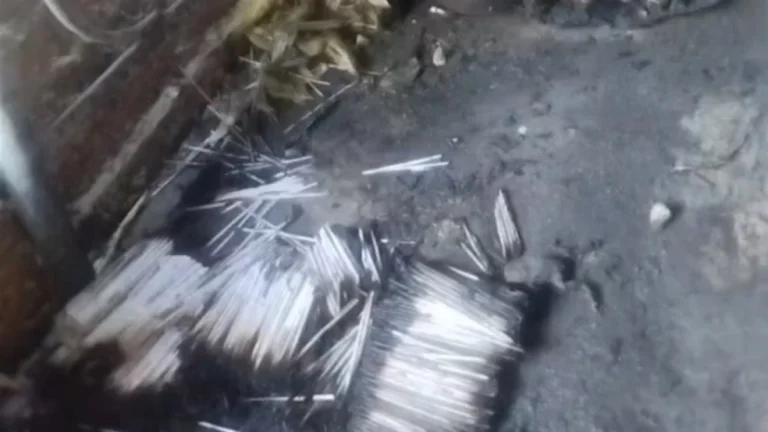 Três pessoas ficam feridas após explosão em fábrica clandestina de fogos de artifício no RN