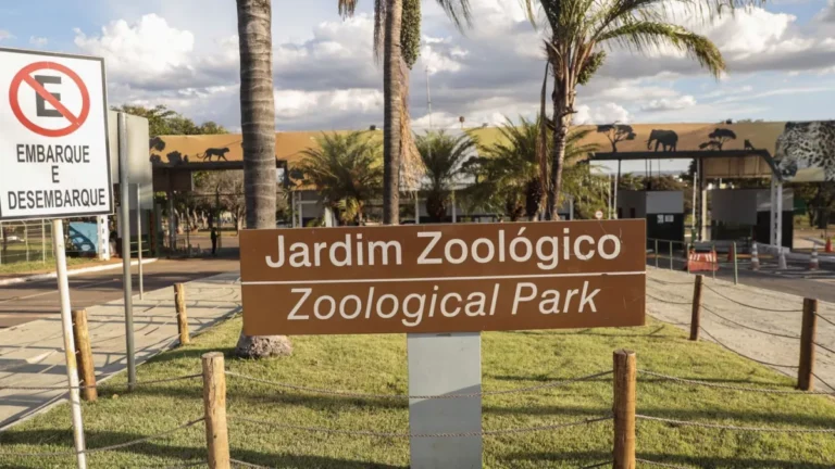 Caso de gripe aviária em zoológico não impactou exportação, diz DF