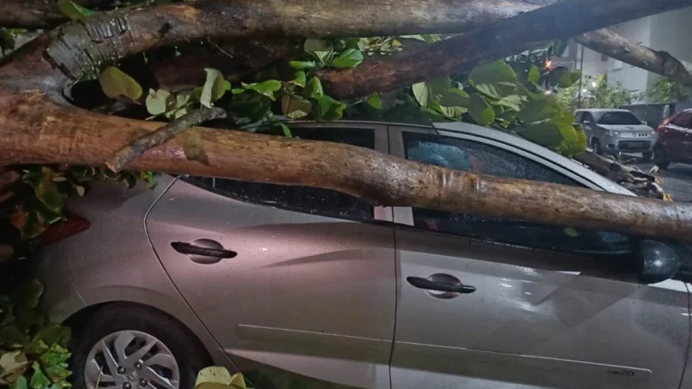 Ciclone no Sul provoca ventos de até 110 km/h e chuva intensa em várias regiões do país