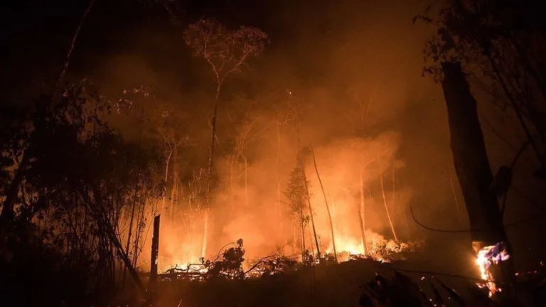 Desmatamento na Amazônia cresce 4% com influência de queimadas