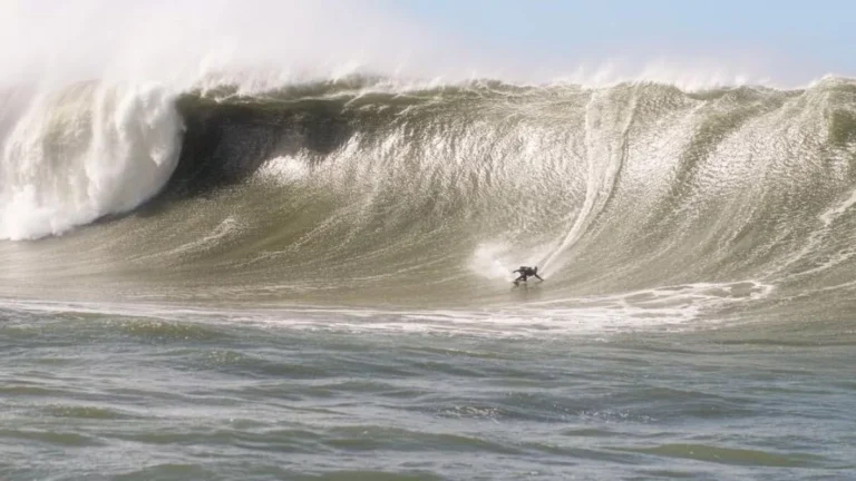 Brasil tem novo recorde de maior onda já surfada no país; veja tamanho