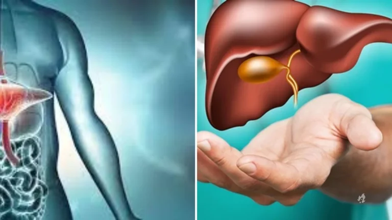 Sintomas de câncer de fígado: como identificar os sinais precoces