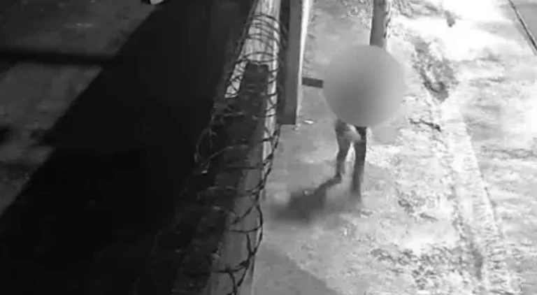 Vídeo: veterinária é baleada durante tentativa de roubo em Santo André