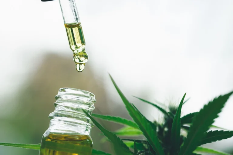 Cannabis medicinal entra no radar do governo e provoca reação da direita