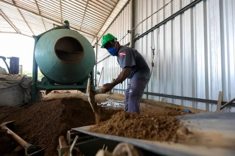 COP30 inspira construção de casas com tijolos de açaí para reduzir CO2