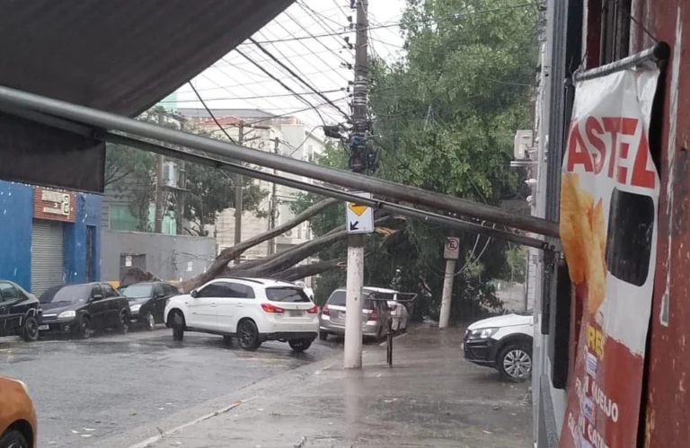 Chuva forte deixa capital em estado de atenção e derruba árvores; 158 mil imóveis estão sem luz na Grande SP