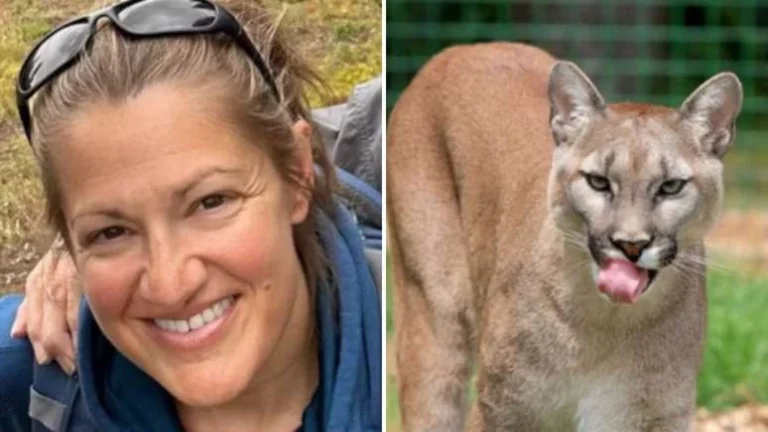 Mulher morre em trilha durante o Ano Novo após ser atacada por felino