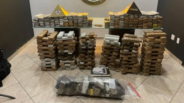PM apreende mais de 440 barras de maconha em chácara de MG