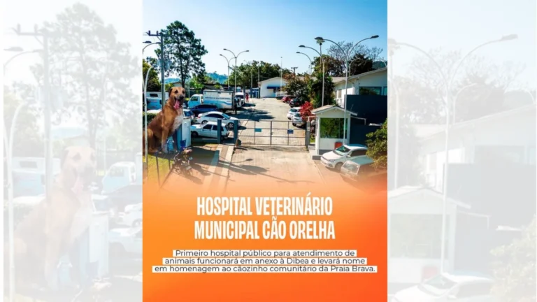 Primeiro hospital veterinário público de Floripa homenageará Cão Orelha