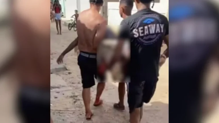 Adolescente morre após ser mordido por tubarão no Pernambuco
