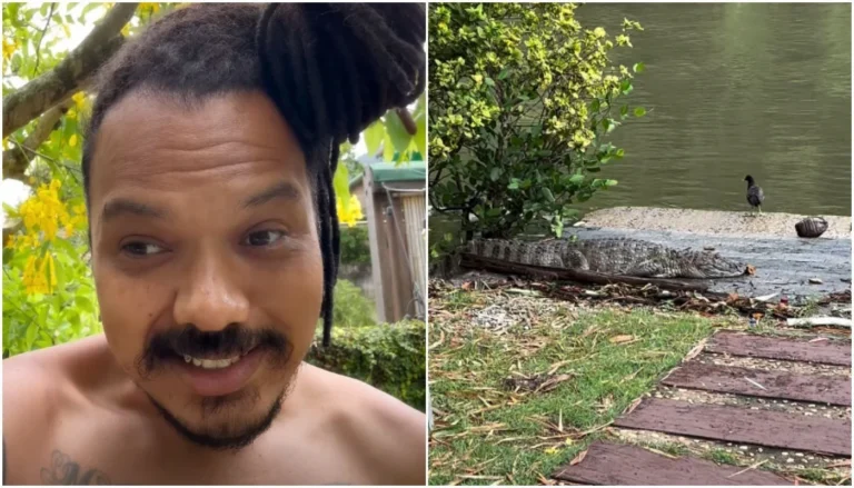 Duh Marinho leva susto ao acordar com jacaré no quintal de casa