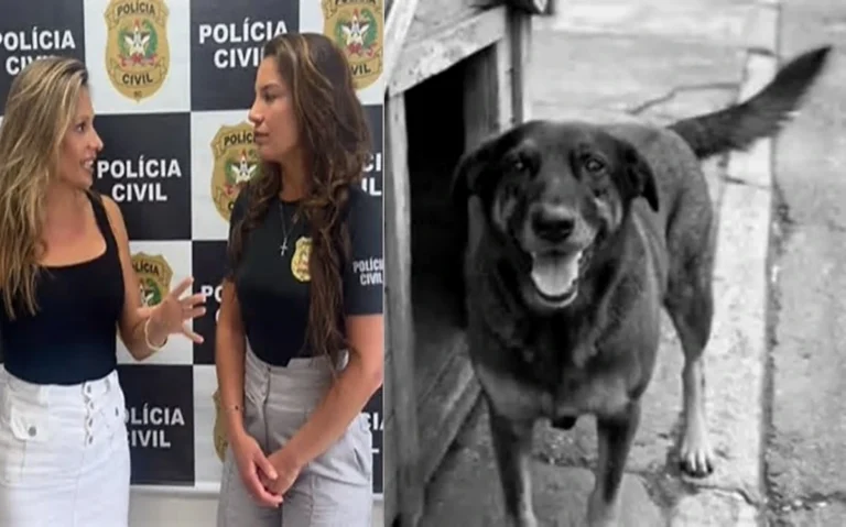 Luisa Mell divulga laudo do cão Orelha e desabafa: “Acompanhar não tem sido fácil”