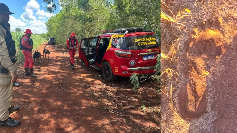 Criança morta após sequestro no Paraná era filha da namorada do suspeito