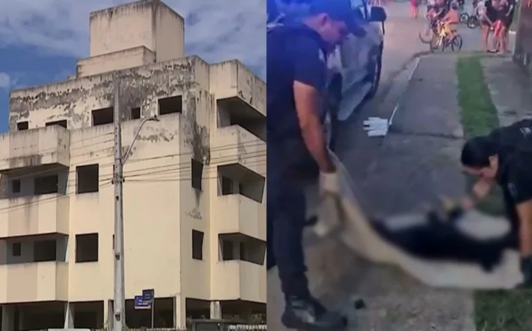 Adolescentes são apreendidos após jogar cão de prédio e matar o animal indefeso