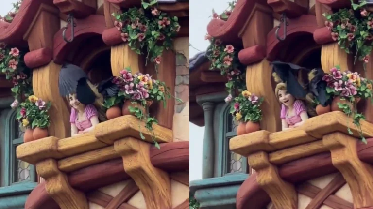 Após “desmaio” de Olaf, Rapunzel é atacada por corvos na Disney; assista