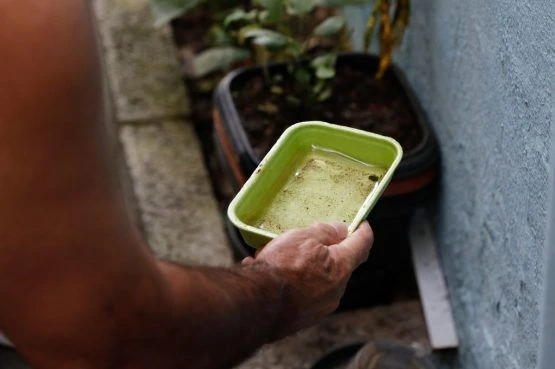 Bahia tem seis cidades em epidemia de dengue; estado tem quatro mortes