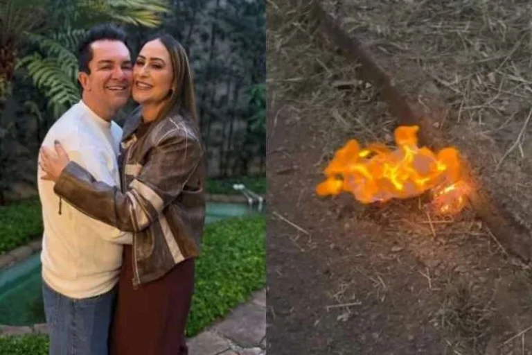 Exagero? Esposa de Regis Danese queima brinquedo do filho após casa pegar fogo