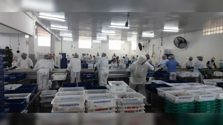 Ibama apreende 104 toneladas de pesca ilegal no Rio Grande do Sul