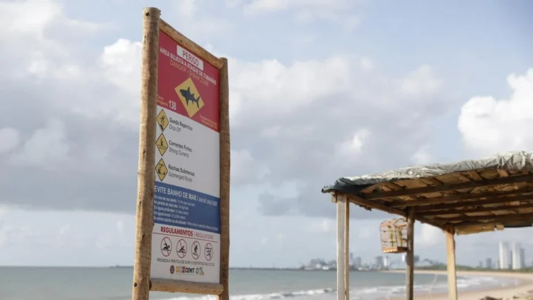 Ataques de tubarão em Recife: vítimas recebem alta da UTI