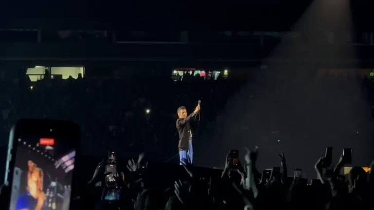 Harry Styles no Brasil: saiba tudo sobre o segundo show em São Paulo
