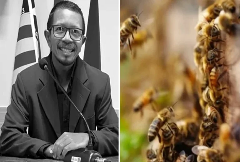 Vereador do PT é vítima de ataque de abelhas e perde a vida após cerca de 2 mil picadas