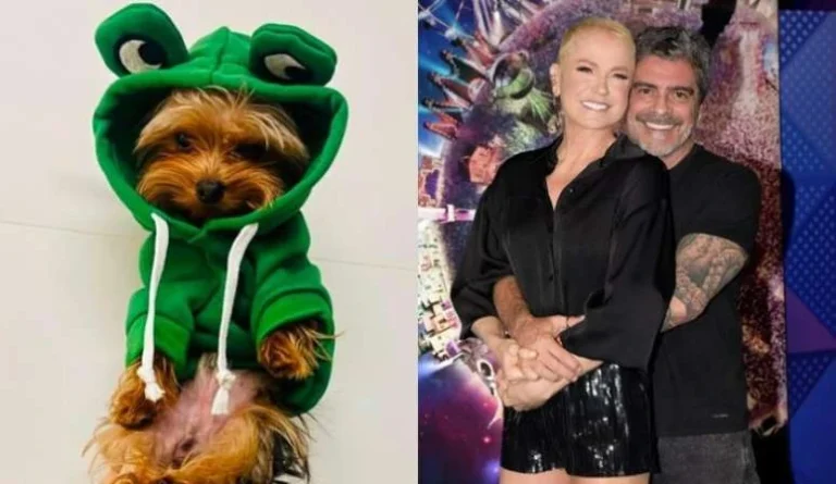 Junno Andrade lamenta morte de cachorro que tinha com Xuxa: ‘Meu grude!’