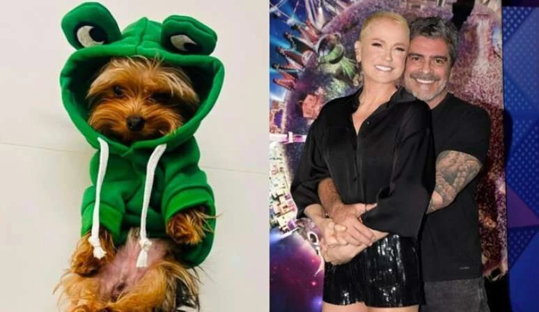 Junno Andrade lamenta morte de cachorro que tinha com Xuxa: 'Meu grude!'