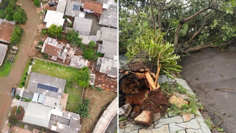 Temporais causam estragos e danificam mais de 2 mil imóveis no Paraná