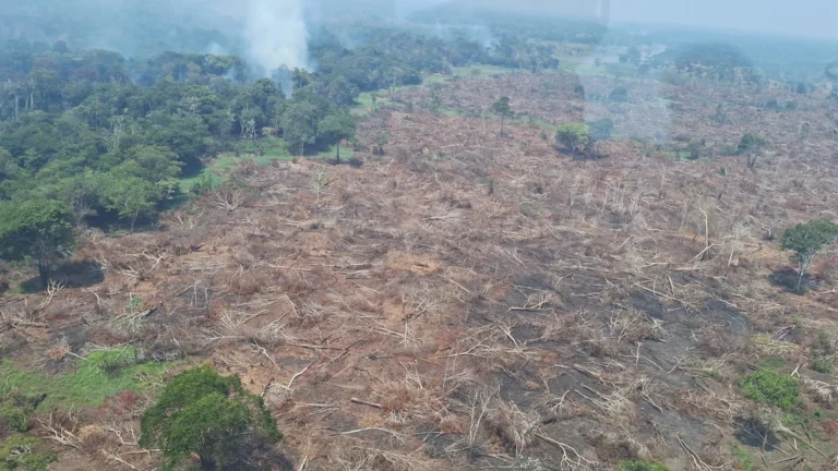 Incêndios no Amazonas: Governo federal libera R$ 3,5 milhões para cidades